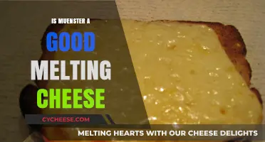 Is Muenster a Good Melting Cheese? A Tasty Investigation