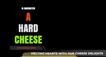 Is Muenster a Hard Cheese? Exploring Its Texture and Uses