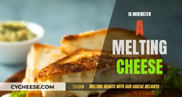 Muenster Cheese: Melting and More
