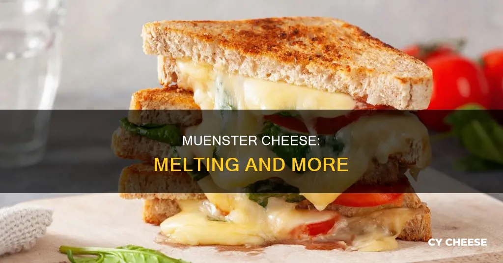 is muenster a melting cheese
