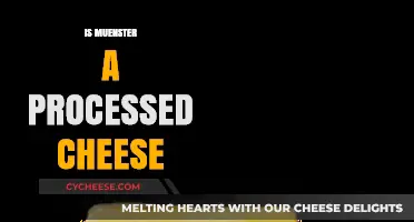 Is Muenster Cheese Processed? Uncovering the Truth About This Classic Cheese