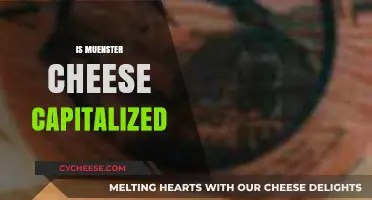 Is Muenster Cheese Capitalized? Unraveling the Dairy Dilemma