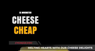 Is Muenster Cheese Affordable? Exploring Its Cost and Value