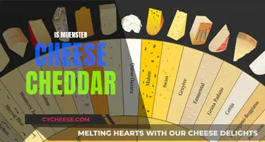 Muenster vs. Cheddar: Unraveling the Cheesy Mystery