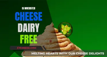 Muenster Cheese: Is It Dairy-Free or Not?