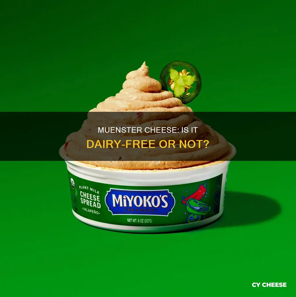 is muenster cheese dairy free