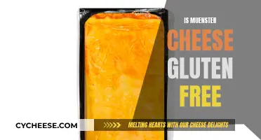 Gluten-Free Muenster Cheese: What You Need to Know