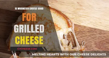 Melted Perfection: Is Muenster Cheese Ideal for Grilled Cheese Sandwiches?