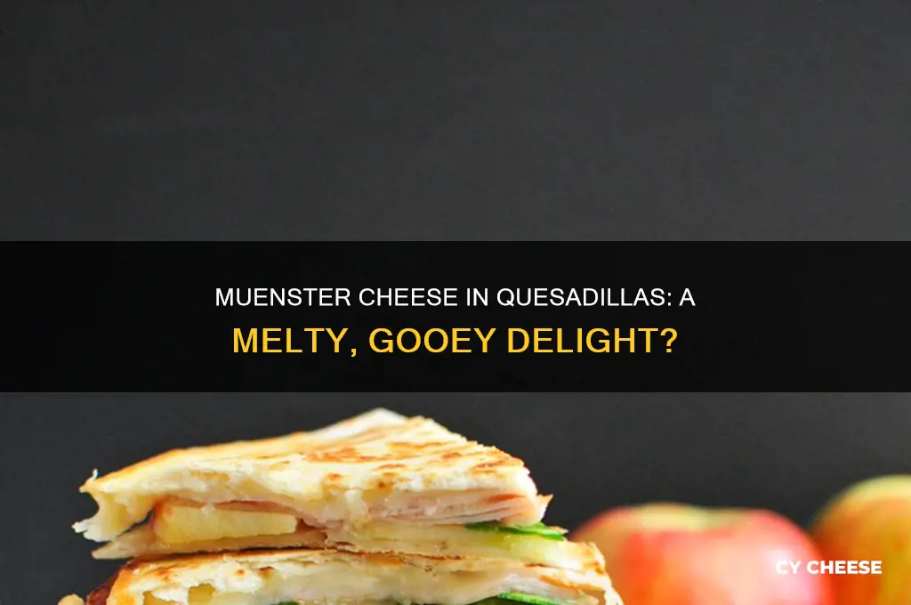 is muenster cheese good for quesadillas