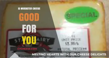 Is Muenster Cheese Healthy? Nutrition Benefits and Potential Drawbacks