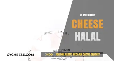 Is Muenster Cheese Halal? Exploring Ingredients and Dietary Compliance