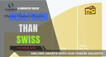 Muenster vs Swiss Cheese: Which is Healthier?