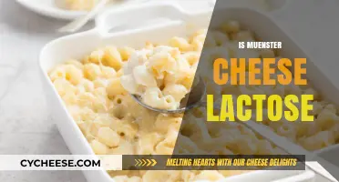 Is Muenster Cheese Lactose-Free? A Guide for Cheese Lovers