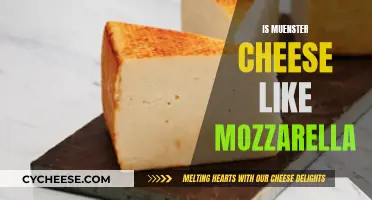Muenster vs Mozzarella: What's the Difference?
