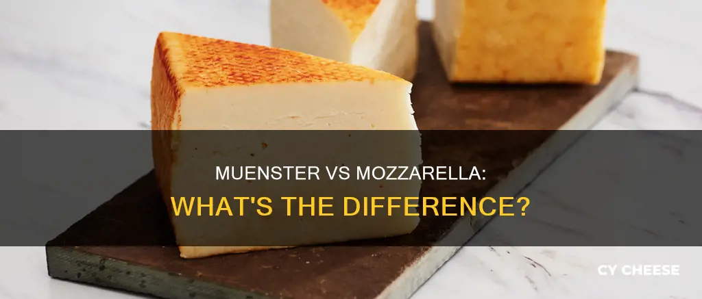 is muenster cheese like mozzarella