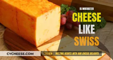 Muenster Cheese: Swiss Cousin or Imposter?