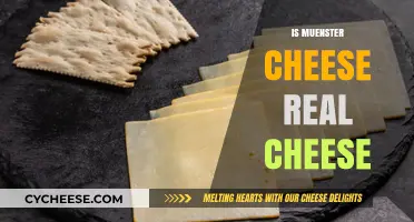 Is Muenster Cheese Real? Uncovering the Truth Behind This Classic Variety