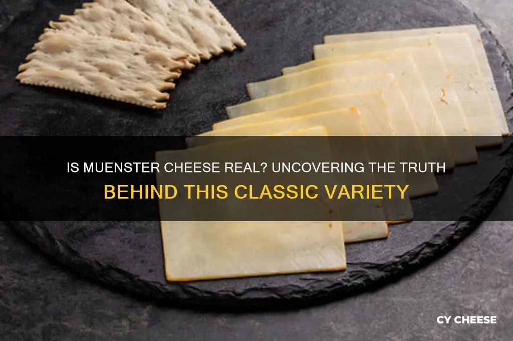 is muenster cheese real cheese