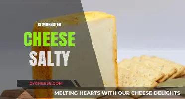 Is Muenster Cheese Salty? Exploring Its Flavor Profile and Uses