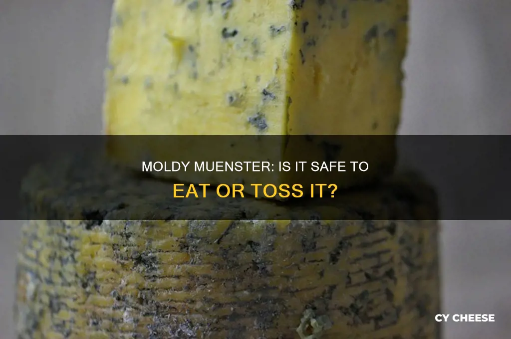 is muenster cheese still okay if it has mold