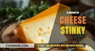 Is Muenster Cheese Stinky? Exploring Its Aroma and Flavor Profile