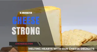 Is Muenster Cheese Strong? Exploring Its Flavor and Intensity