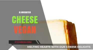 Is Muenster Cheese Vegan? Exploring Dairy-Free Alternatives and Facts