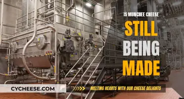 Munchee Cheese: Still Being Made?