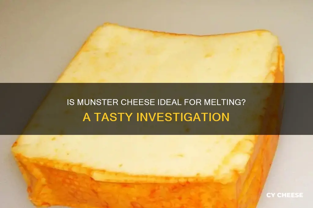 is munster a good melting cheese