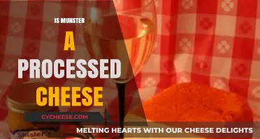 Is Munster a Processed Cheese? Unraveling the Truth Behind This Classic