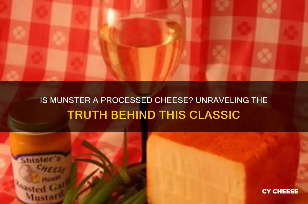 is munster a processed cheese