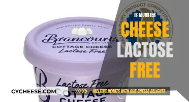 Munster Cheese: Lactose-Free Superfood?