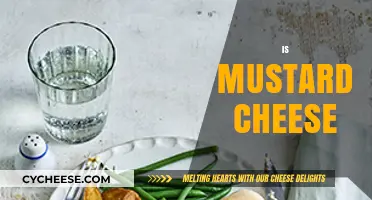 Is Mustard Cheese a Thing? Exploring the Unique Flavor Combination