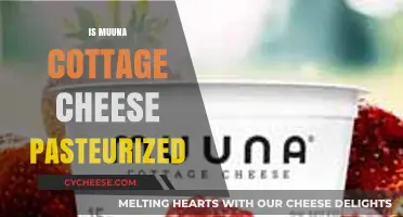 Is Muuna Cottage Cheese Pasteurized? A Complete Guide to Safety