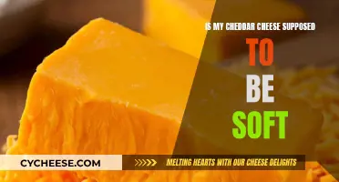 Cheddar Cheese Softness: What's the Right Texture?