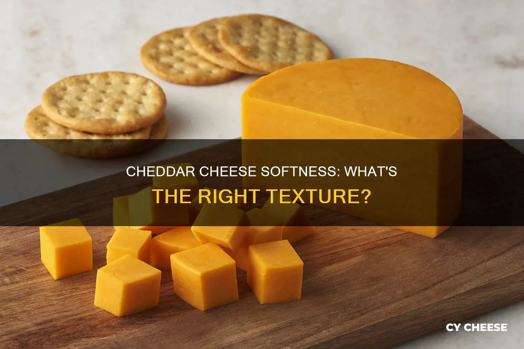 is my cheddar cheese supposed to be soft