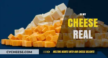 Is Your Cheese Real? Uncovering the Truth Behind Dairy Labels