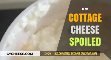 How to Tell If Your Cottage Cheese Has Gone Bad