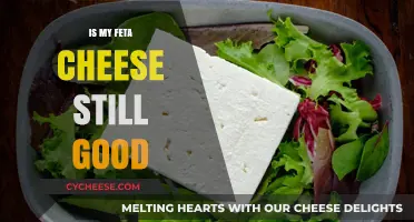 Is Your Feta Still Fresh? A Guide to Check Its Goodness