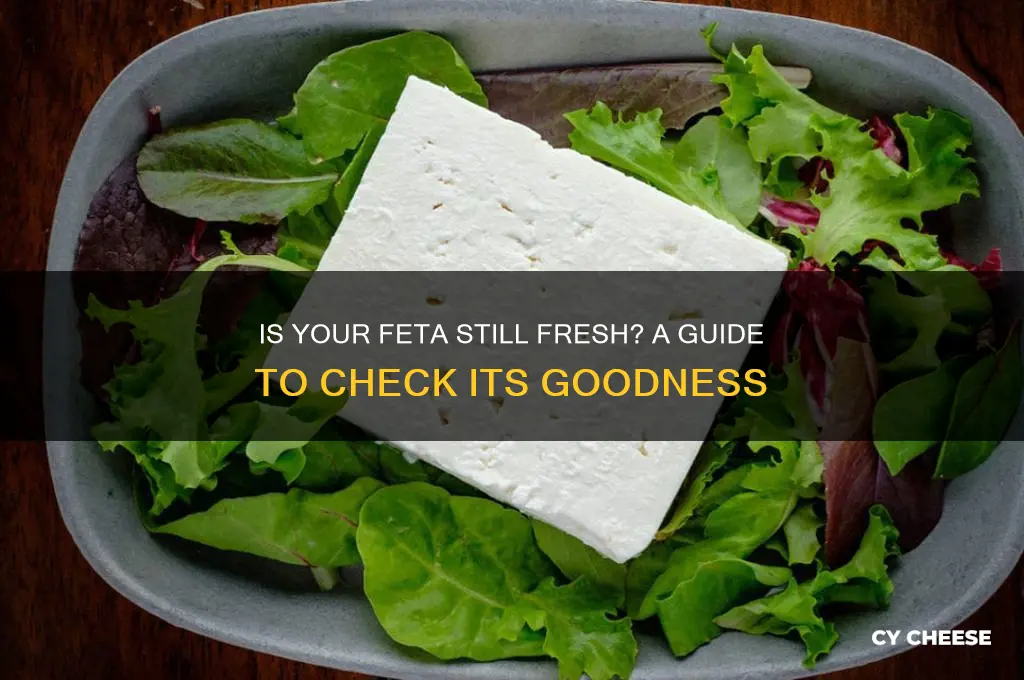 is my feta cheese still good