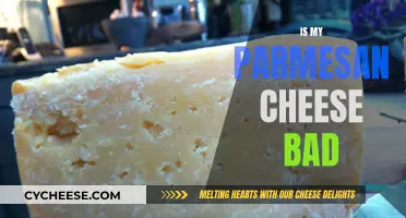 Parmesan Cheese: When Does It Go Bad?