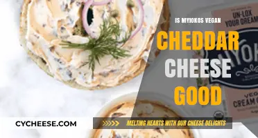 Is Myokos Vegan Cheddar Cheese Worth the Hype? A Review