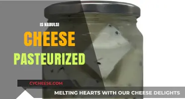 Is Nabulsi Cheese Pasteurized? Exploring Traditional Production Methods