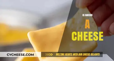 Is Nacho Cheese Real? Unraveling the Cheesy Mystery of Nachos