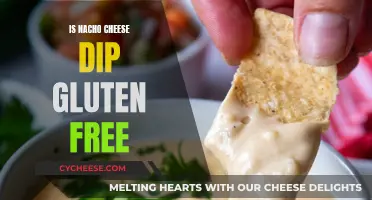 Gluten-Free Nacho Cheese Dip: What You Need to Know