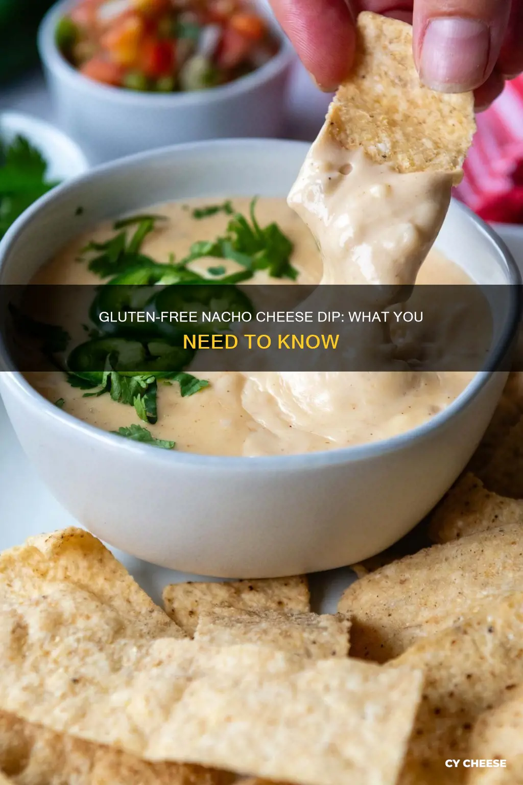 is nacho cheese dip gluten free