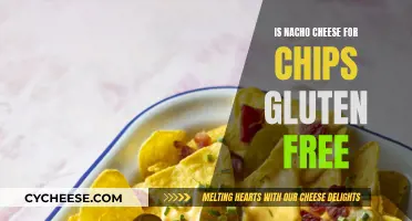 Gluten-Free Nacho Cheese: Chips and Dip