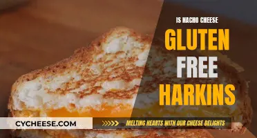 Gluten-Free Movie Night: Are Harkins' Nacho Cheese Safe?