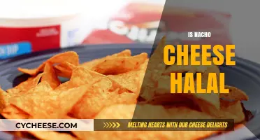 Is Nacho Cheese Halal? Exploring Ingredients and Religious Dietary Laws