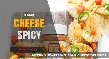 Is Nacho Cheese Spicy? Exploring the Heat in Your Favorite Snack